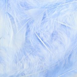  White Fluff Marabo Craft Feathers 10.5 Grams : Arts, Crafts &  Sewing