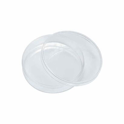 Small Clear Round Plastic Favor Container Box