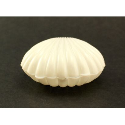 clam shell party favors