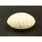 3.5 Inch White Plastic Claim Shell Party Favor Box